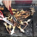 낙원펜션 이미지