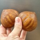 휴베이스봄약국 | 스타벅스 신상 말차 티라미수 메가커피 버터떡 후기