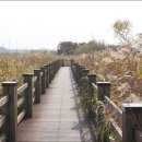 갈대습지공원 이미지