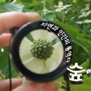 자연 + 인간 + 이미지