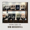 브라이텍스 듀얼픽스 프로 보면서 플러스 카시트도 함께 본 후기