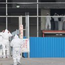 화성양돈 이미지