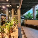 이풀실내정원 | 경기도 비올때갈만한곳 서울근교 카페 이풀실내정원