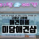 미담애견샵 이미지