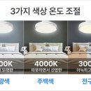 네오라이팅 이미지