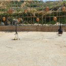 남서대로 이미지