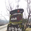 숲애아이 이미지