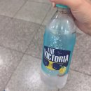 판암동210 | (2025년 8월 2주~3주차) 잘가 여름의 맛