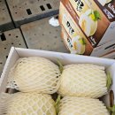 수신삼거리 | 천안 수신메론 제철과일 ; 메론계의 에르메스? 올해도 솔직 후기