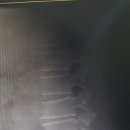 홍익외과.정형외과