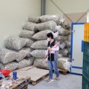 가척농장 이미지