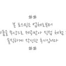 인셀덤Bella