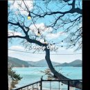 카페바바라발리 네이버블로그