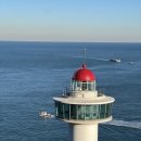 GS25 영도오션점 | 열차 후기｜노선·요금·시간표 한눈 정리,영도 블루빈카페 후기, 바다 보이는 영도 오션뷰 카페 추천