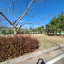 벌교스포츠센터 이미지