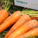 미리내농수산