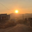 스테이 밤부 이미지