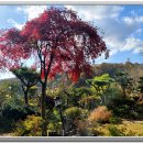 화가의정원 이미지