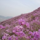 고려산 이미지