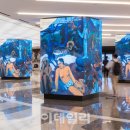 나인미디어