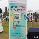 인애캘리그라피 | KT 보야지 투 자라섬 2018 가을 재즈페스티벌 다녀왔어요
