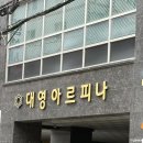 미짱헤어 - 화천군 | 행운의 파란 거북이와 뜨개고기