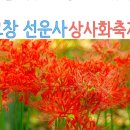 9월24일(일) 고창 선운산 산행& 선운사 꽃무릇 축제 이미지