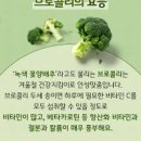 슈퍼푸드로 인정받은 브로콜리 효능 안좋은점 브로콜리소세지볶음 만드는법 이미지