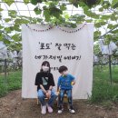 엄마사랑농원