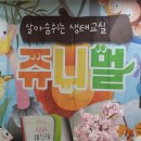 주공길 | 동물과 교감한 하루, 쥬니멀 수업 후기