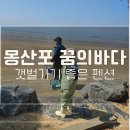 꿈의바다 | 태안 몽산포 갯벌체험 + 꿈의바다 펜션 후기 (아이랑 두 번 간 이유)