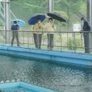 청계어린이집 이미지