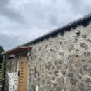 Maple Lodge | [제주]제주도 동쪽 독채 숙소 추천 단풍장 (Nova동)