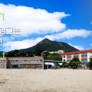 완월초등학교 이미지