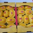 빈이네농장 이미지