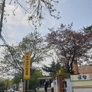 금왕호프 네이버블로그
