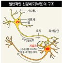 감초당약국 이미지