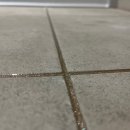 예손환경 이미지