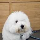 미태리마산월영마을점 이미지
