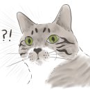 청학 승마클럽 이미지