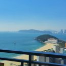 부산명물구포국수 이미지