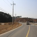 김해김씨 정려 이미지