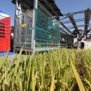 진흥태양광발전소 이미지