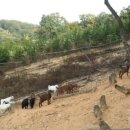 성호농장 이미지