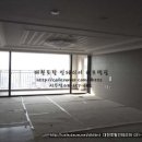 씨쓰리바이오