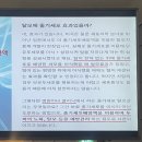라벨라 셀케어 헤어케어 솔루션 샴푸 찐 후기💛