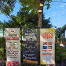 국화꽃향기 | "오천만송이 국화꽃향기" 피나클랜드 수목원