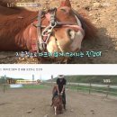 진강