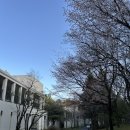 나인브릿지 퍼블릭(대중형6홀) | 제주 나인브릿지 퍼블릭 6홀 노캐디 2인 플레이/조식 후기♥ (+코스 정보)