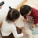 가나농장 | 파주 딸기농장 체험후기, 솜솜딸기 내돈내산 솔직리뷰